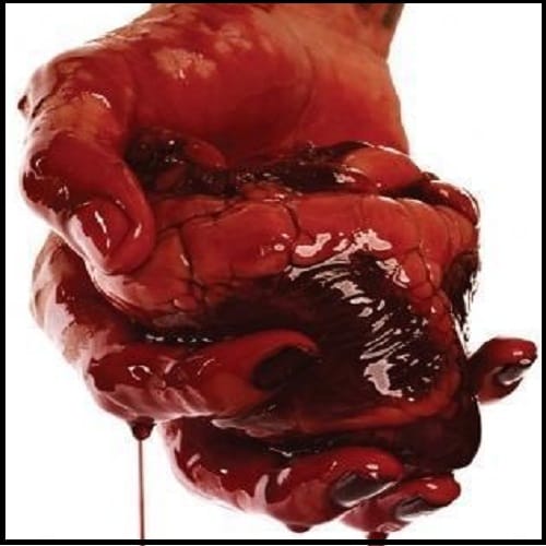 Man killed mother and ate her heart at Kolhapur in Maharashtra