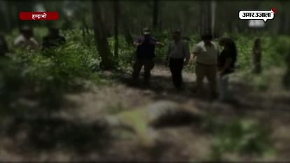 Tigress found dead in Jim Corbett National Park