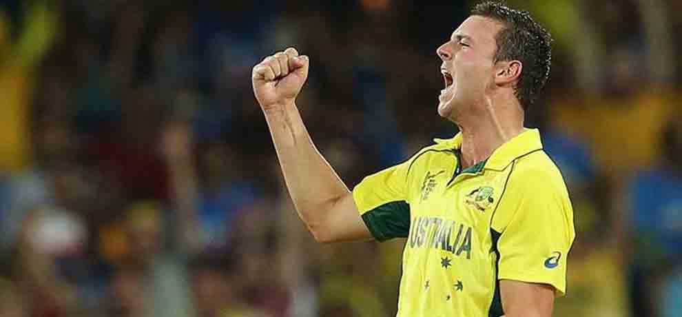 josh hazlewood ousted from india tour due to injury