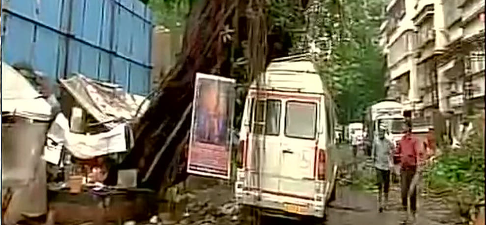 बारिश में पेड़ गिरने से एचटी लाइन टूटी, पोल उखड़ा