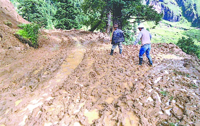 In 17 years only five km road was built