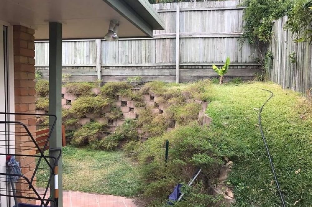 Can you spot the snake in this  garden 
