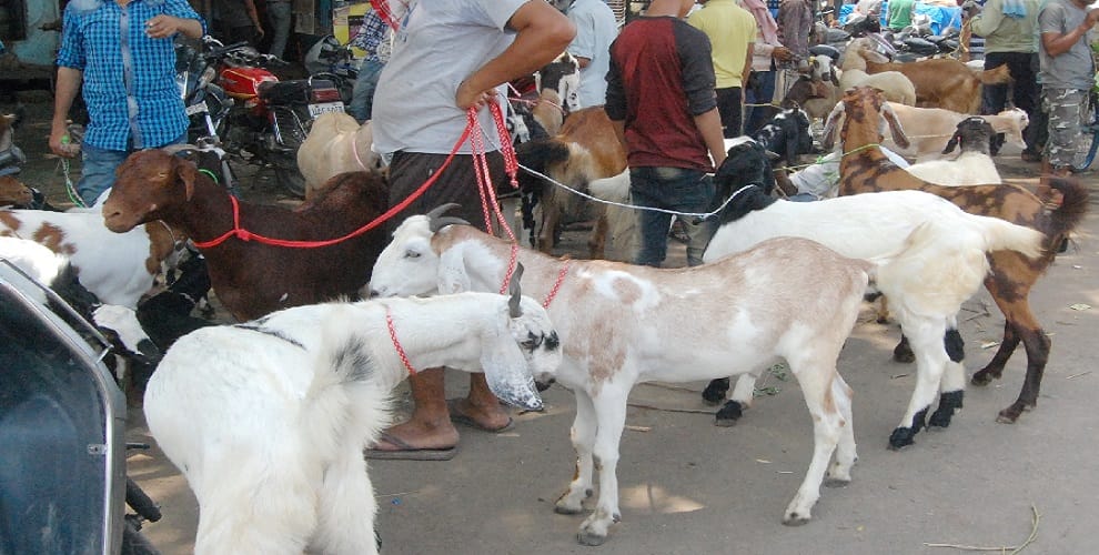 Eid