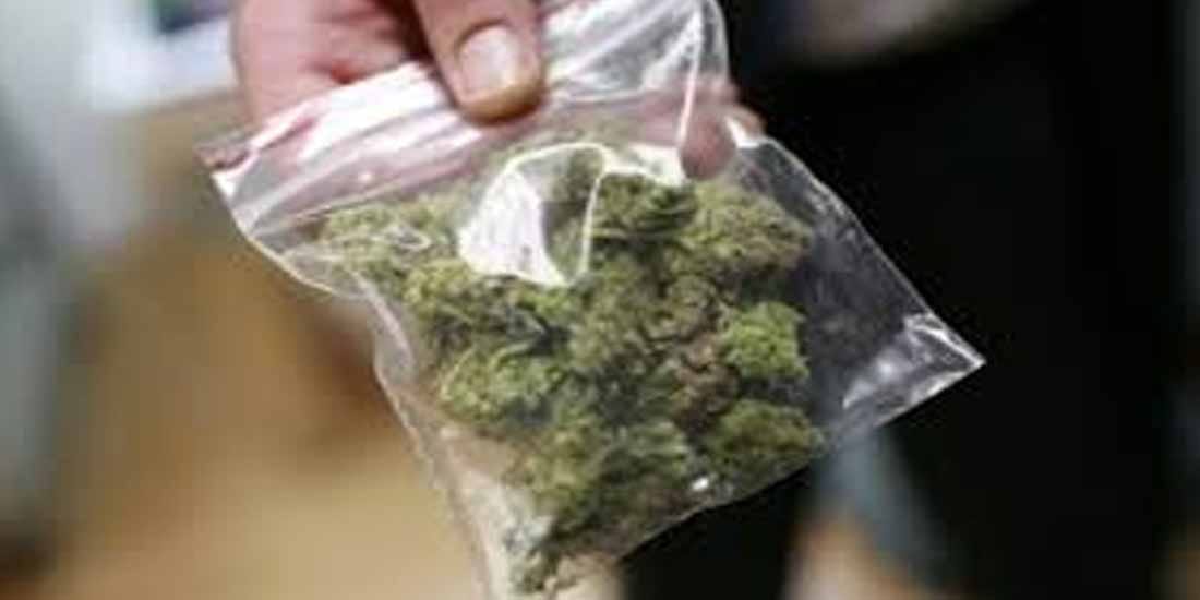 know how can growing Smuggling of cannabis n UP