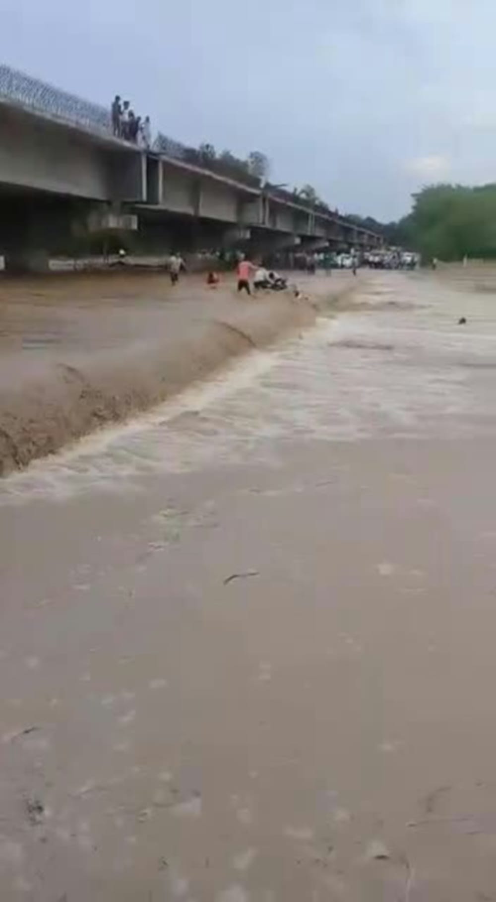 boys rescue after drown in river