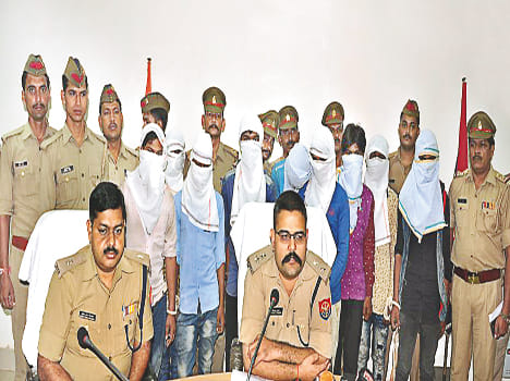 Nine vicious thieves arrested
