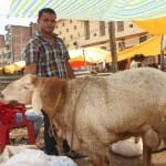 तीन लाख का दुंबा 