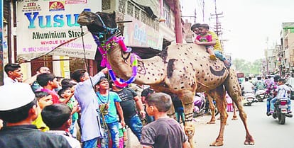 Not open in the Eid... sacrifice of goats, these robust arrangements made by the police