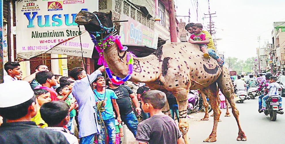 हाईटेंशन तार टूटकर ऊंटगाड़ी पर गिरा, ऊंट मरा, एक झुलसा