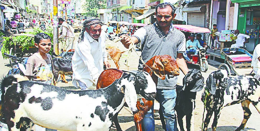 Goats sold in the market from 1.5 to 5 lakhs for sacrifice