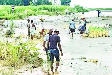 Sharda Sagar section now remembered to save the Sanchi embankment