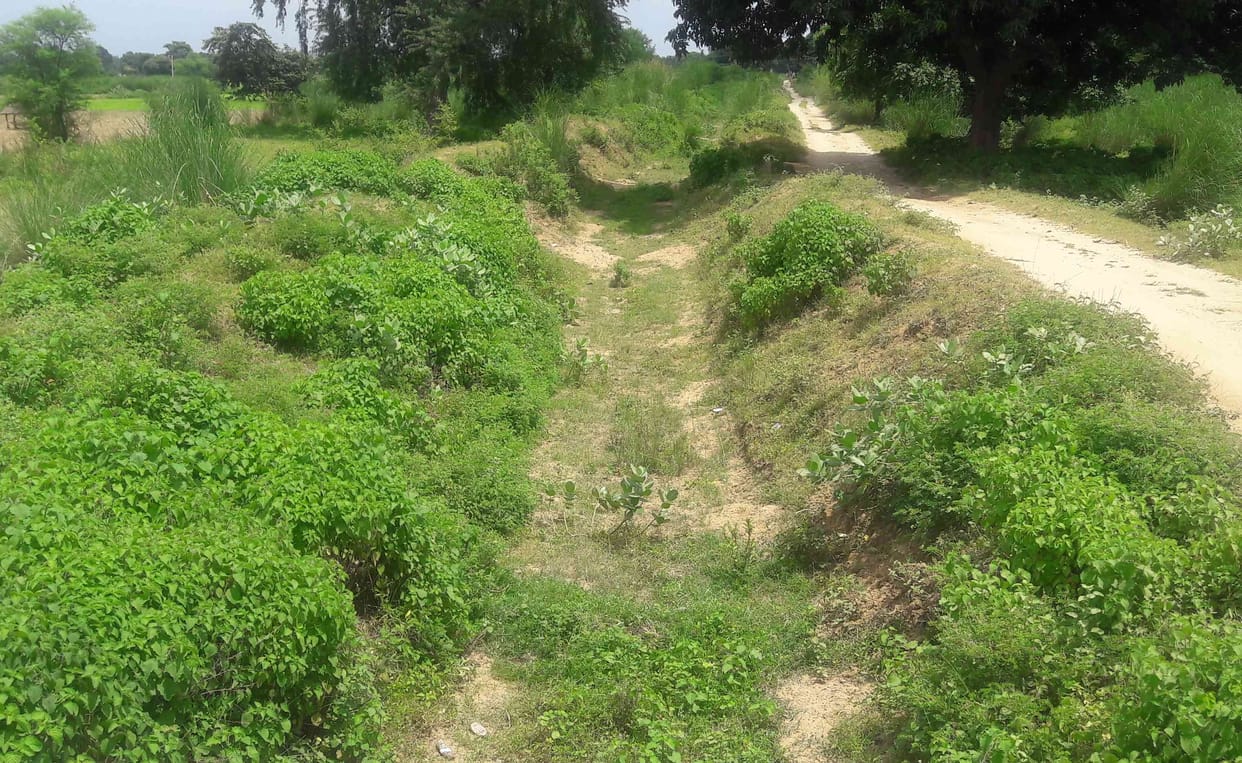 10 हजार हेक्टेअर धान की सिंचाई पर संकट