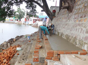 vanaras arti