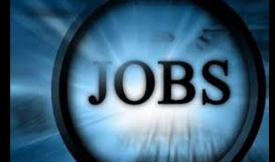 Delhi Police busted fake job racket, arrested 4 people 