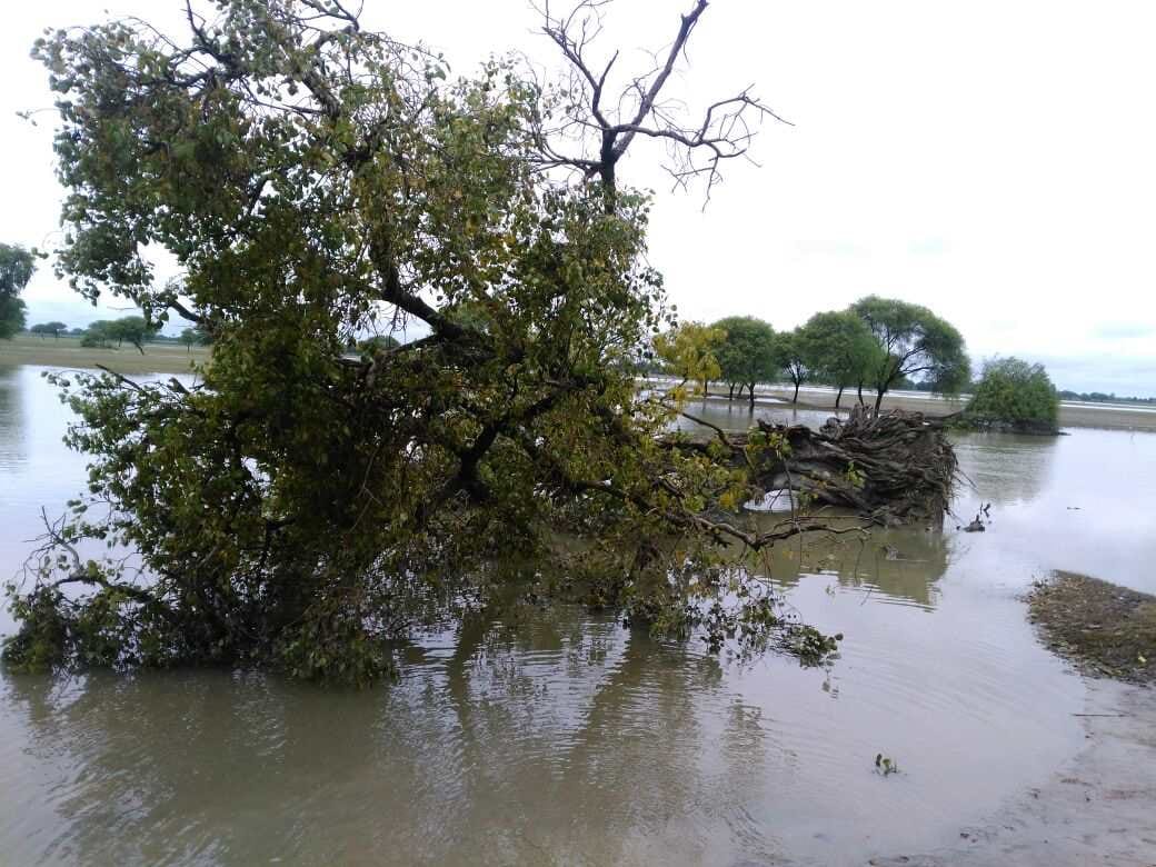 in many village ghaghra in danger point