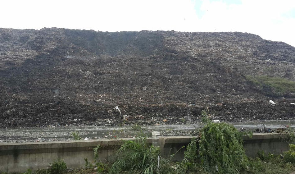 World Environment Day 2019: Road will be made from waste Delhi residents get relief from pollution