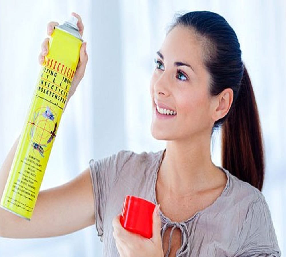 try this home remedy to make your house mosquito free