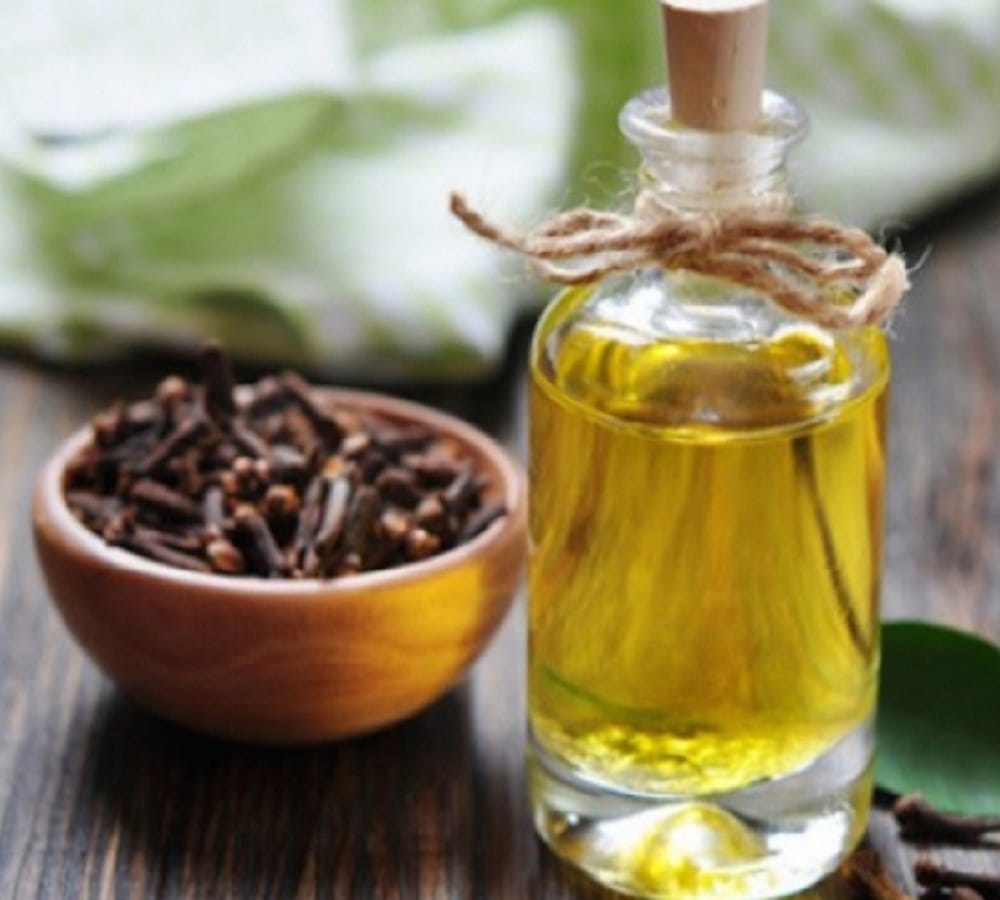 try this home remedy to make your house mosquito free
