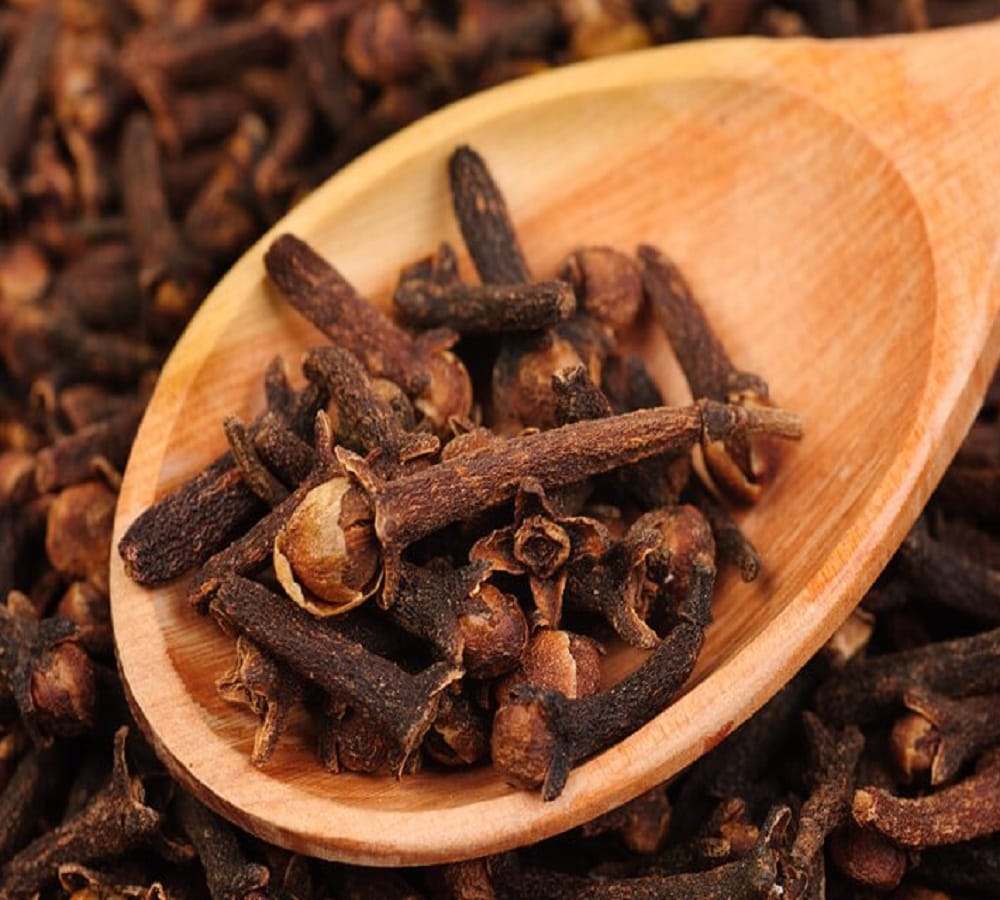 try this home remedy to make your house mosquito free