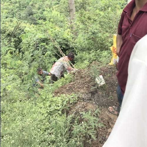 himachal weather heavy rain and landslide four died