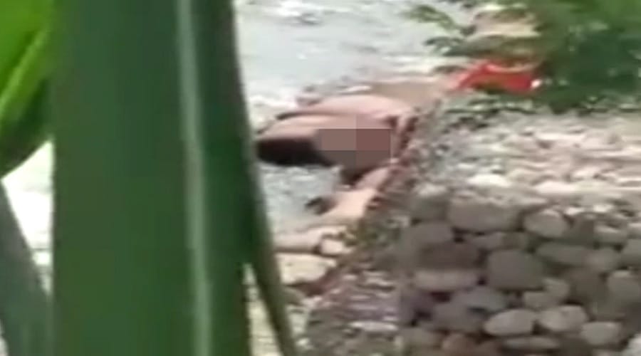 Randy couple having intimate at riverbank in Colombia