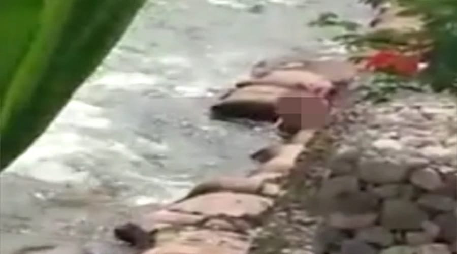 Randy couple having intimate at riverbank in Colombia
