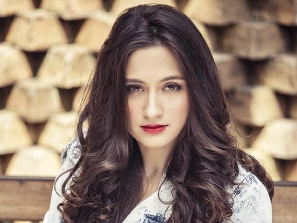 sanjeeda sheikhs beautiful eid look in hindi