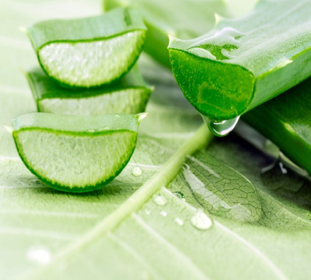 Aloe vera will control your sugar within 30 days