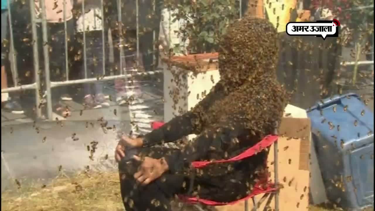 मधुमक्खियां