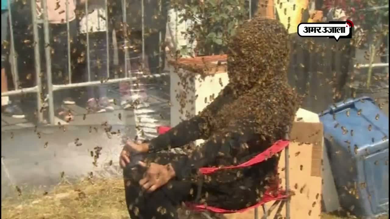 मधुमक्खियां