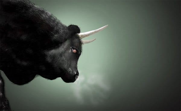 bull turns into big problem for police