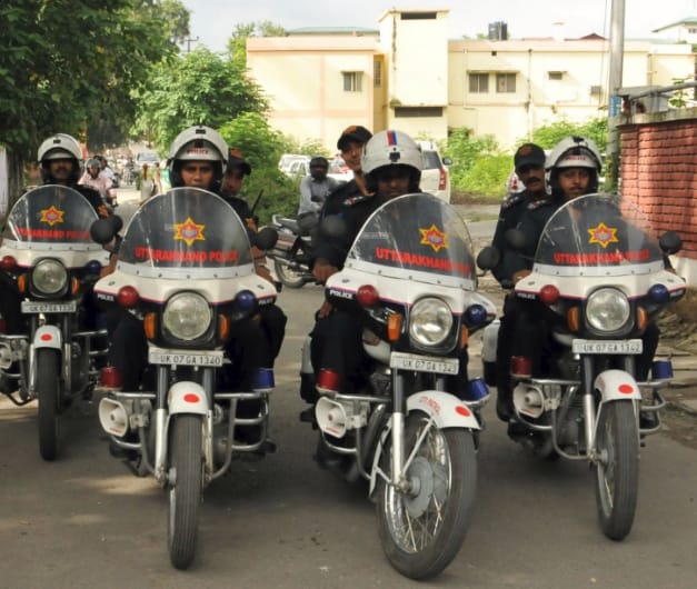 bull turns into big problem for police