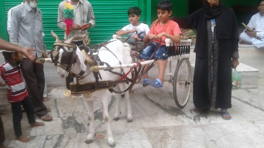 Interesting photos of Eid festival