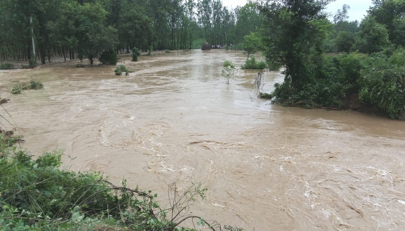 flood in haridwar due to heavy rain in hilly area