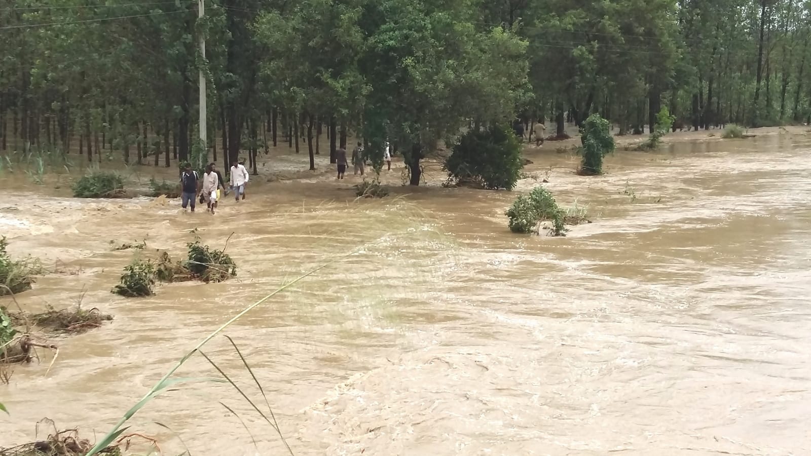 flood in haridwar due to heavy rain in hilly area