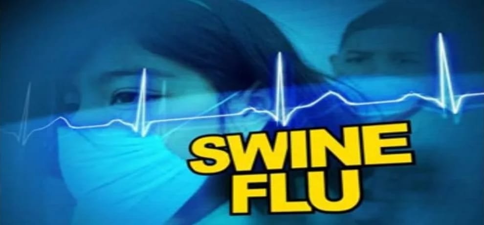 rajasthan swine flu deth number increasing regularly