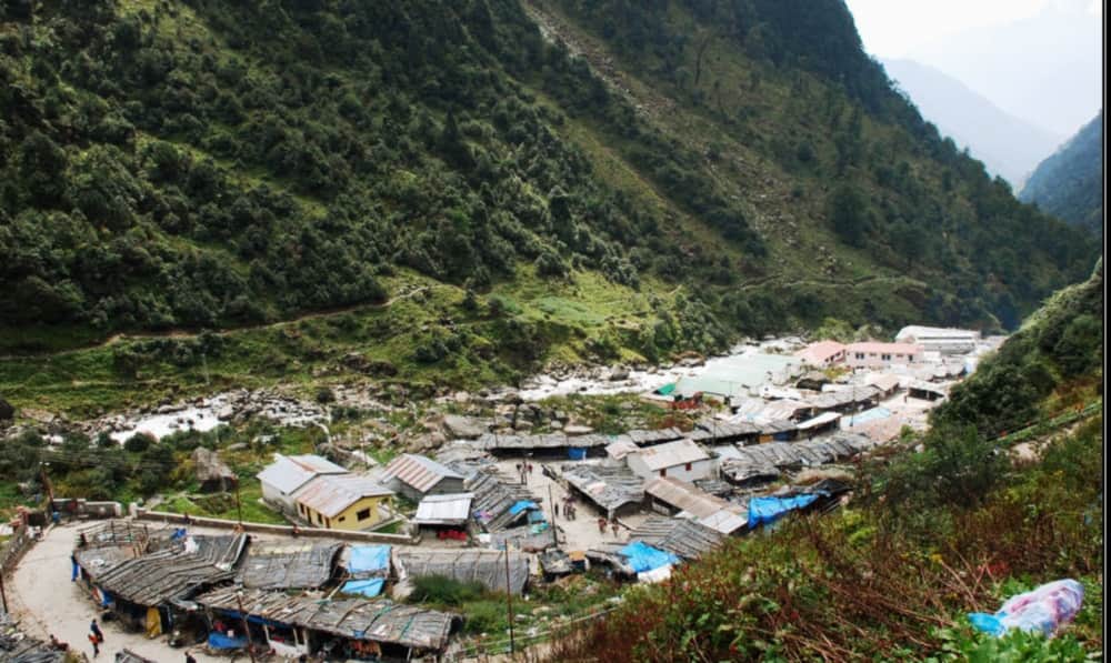 rudraksha plant destroyed in rambada after kedarnath disaster