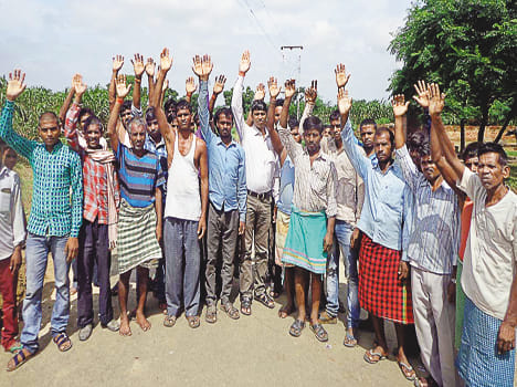 LT line breaks down, three cattle die