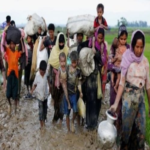 Painful Tales of Rohingya Muslims in Myanmar