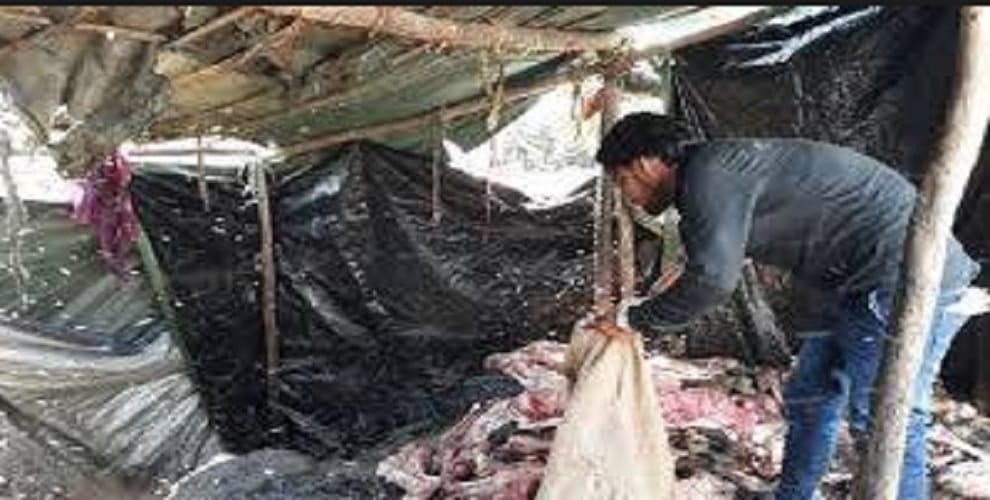 To sell meat for kebab was expensive, daroga beating