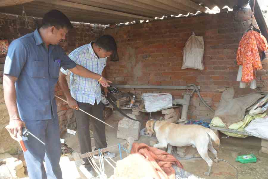 man killed her wife and two step son in mathura