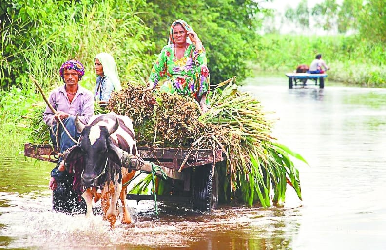 Flooding in Purkakaji Khadar