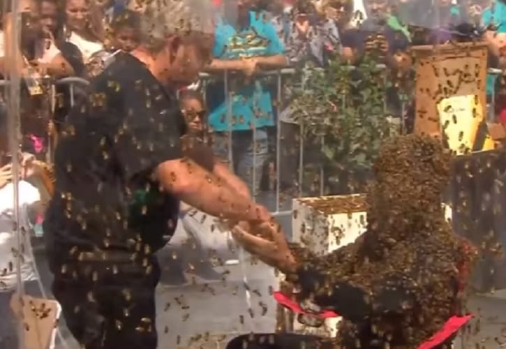 Watch how man covered himself with bees for film promotion of blood honey