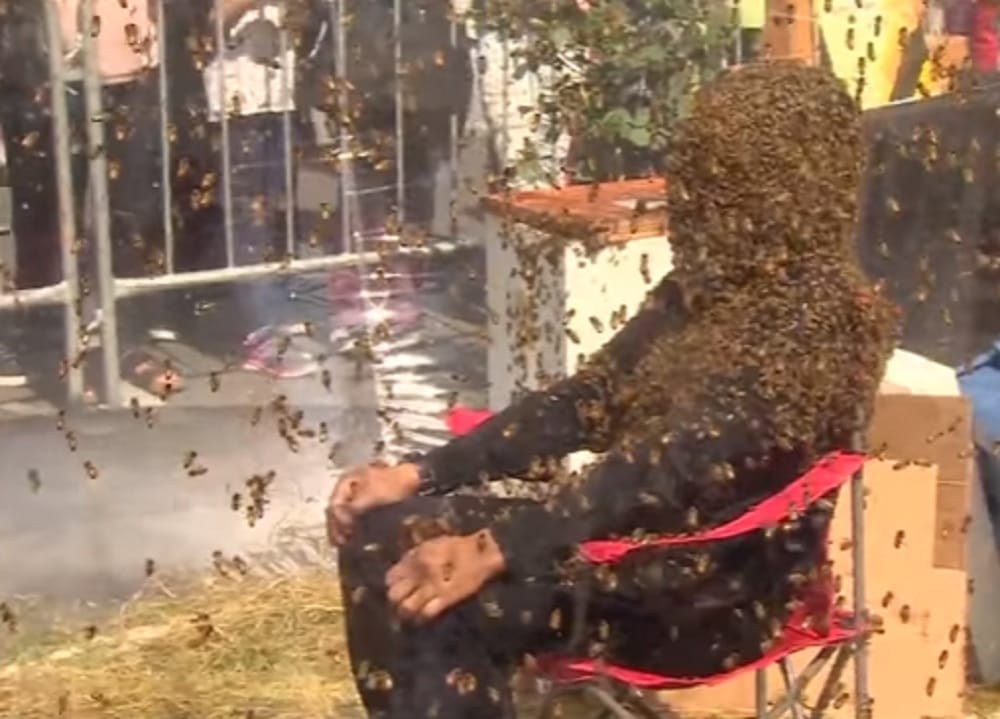 Watch how man covered himself with bees for film promotion of blood honey