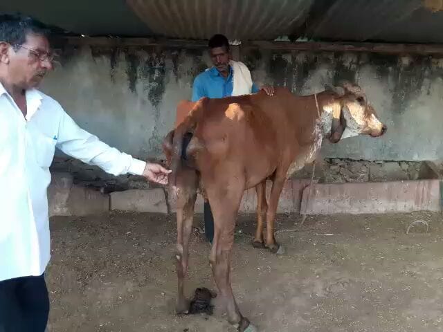one more rumour taking place in rajasthan
