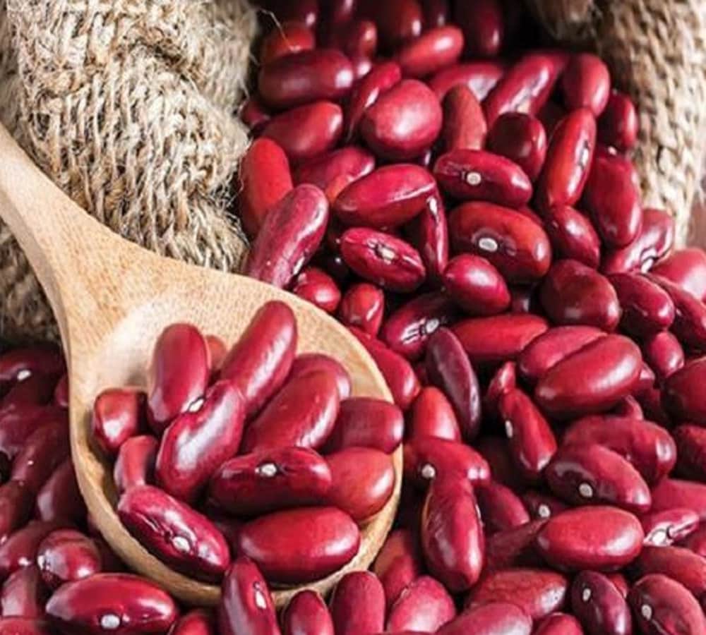 If you want to reduce your weight quickly than take High protein food says research 