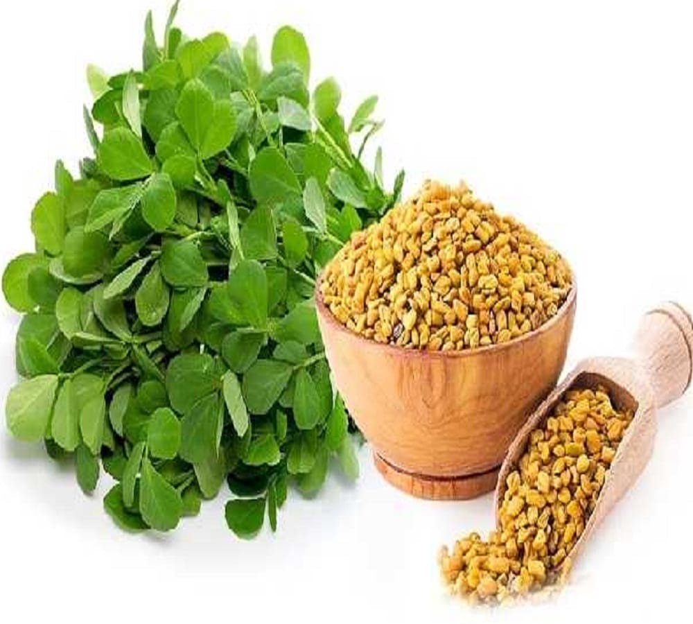 these four kitchen items will protect you from dengue 