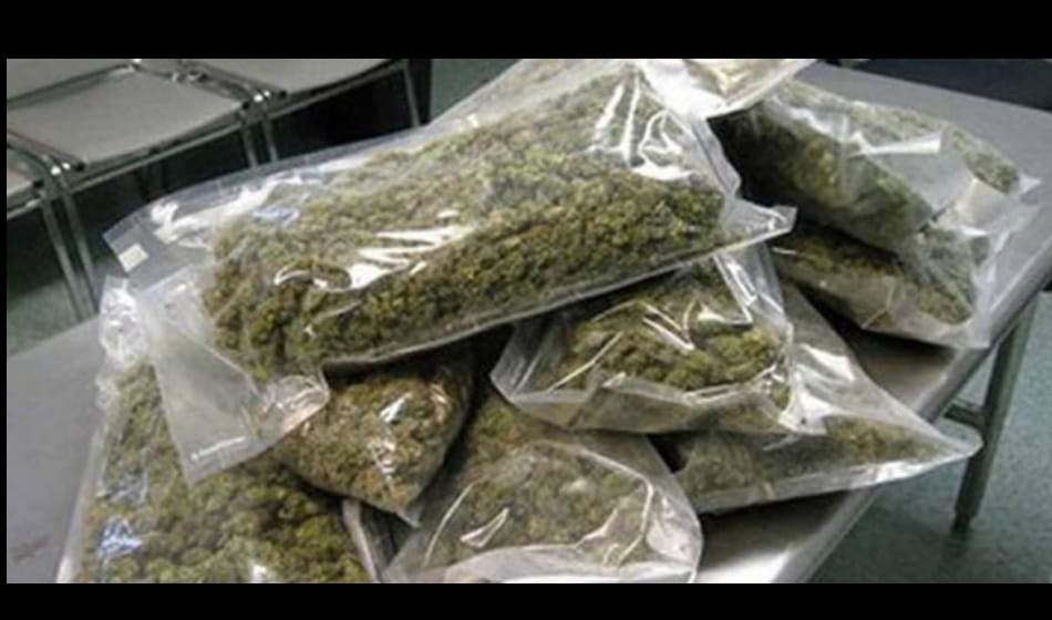 Five smugglers arrested with 25 kg ganja in Delhi NCR