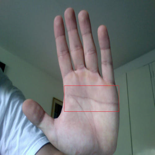 know about fish sign or machli nishan, who have on your palm according to palmistry
