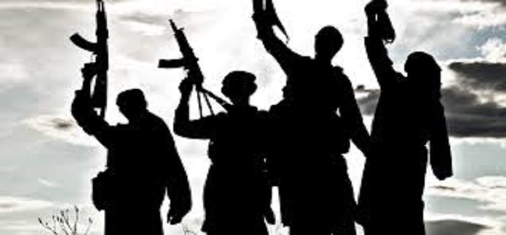 pulwama terror attack: india ready to give dna sample of terrorist to pak